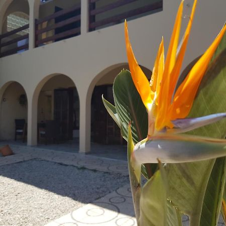 Santo Quintal Hostel Ubatuba Luaran gambar